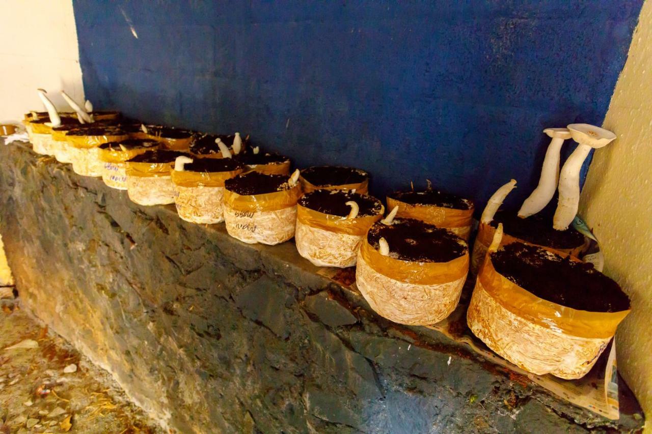 منتجع ريناي كاباد بيتش Chemancheri المظهر الخارجي الصورة