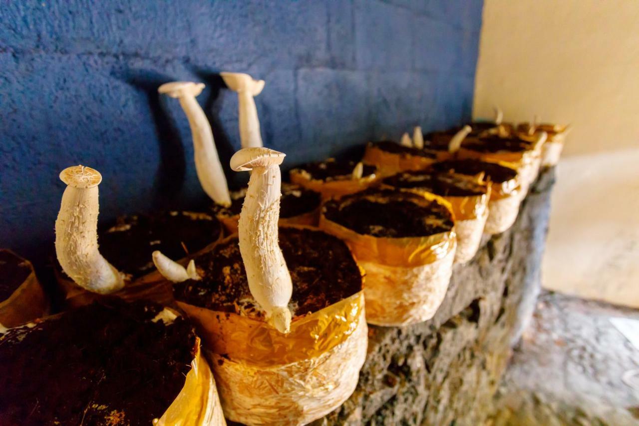منتجع ريناي كاباد بيتش Chemancheri المظهر الخارجي الصورة
